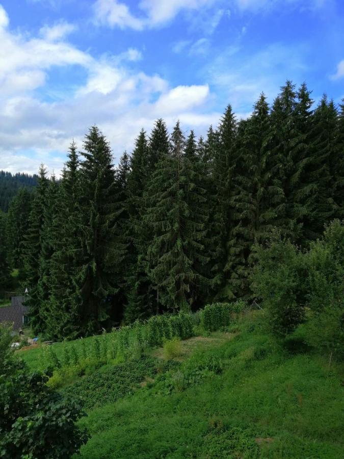 Hotel Marichka Jabłonica Zewnętrze zdjęcie